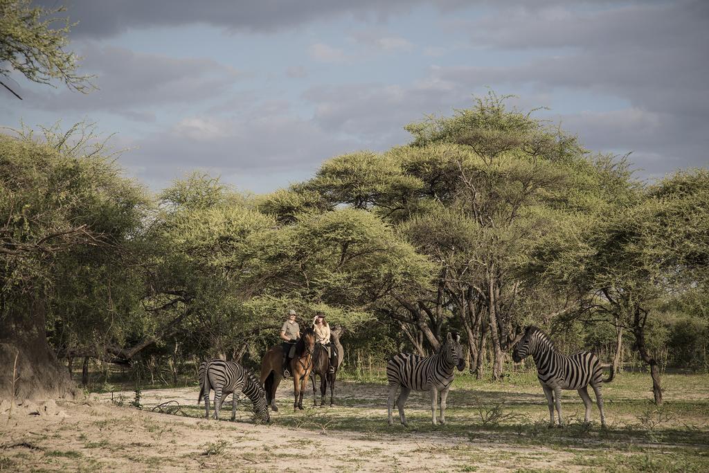 Royal Tree Lodge Maun Exterior foto