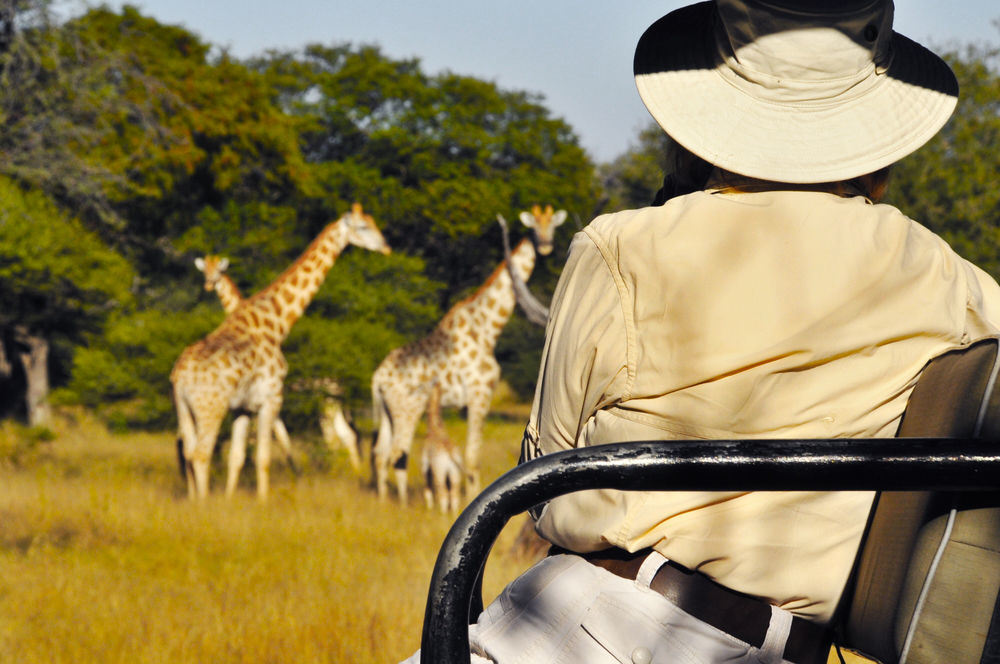 Royal Tree Lodge Maun Exterior foto